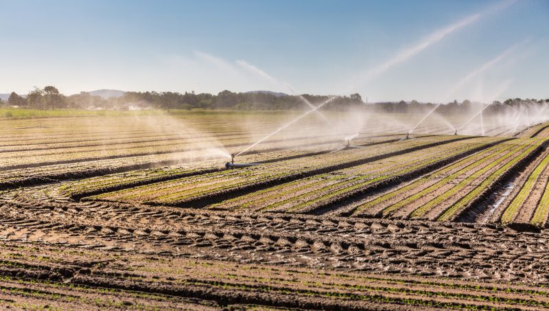 Irrigation Service in Ventura County, CA