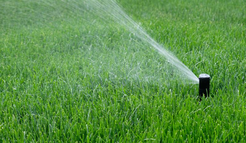 Lawn Sprinkler Replacement in Honolulu, HI