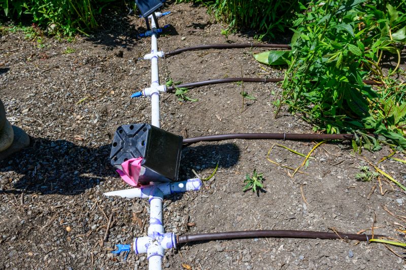 Watering System Installation in Honolulu, HI