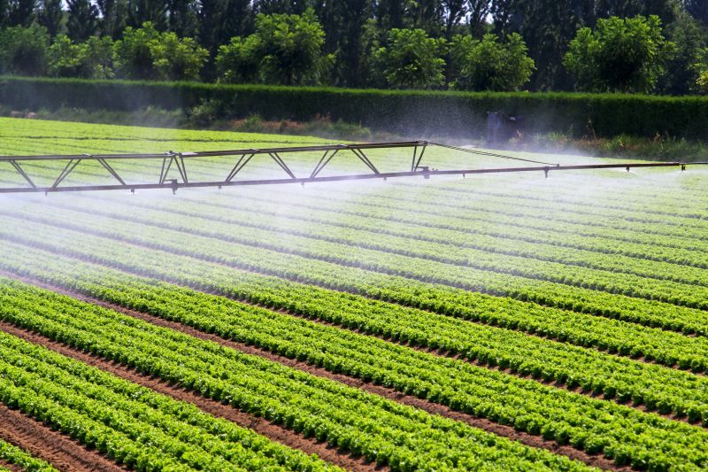 Crop Irrigation Installation in Ventura County, CA