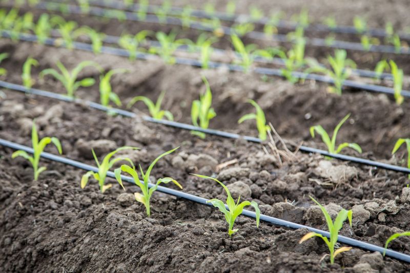 Field Irrigation Installation in Aiken, SC