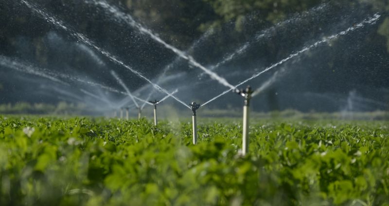 Inground Sprinkler Installation in Aiken, SC