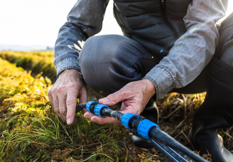 Irrigation Installation in Ventura County, CA