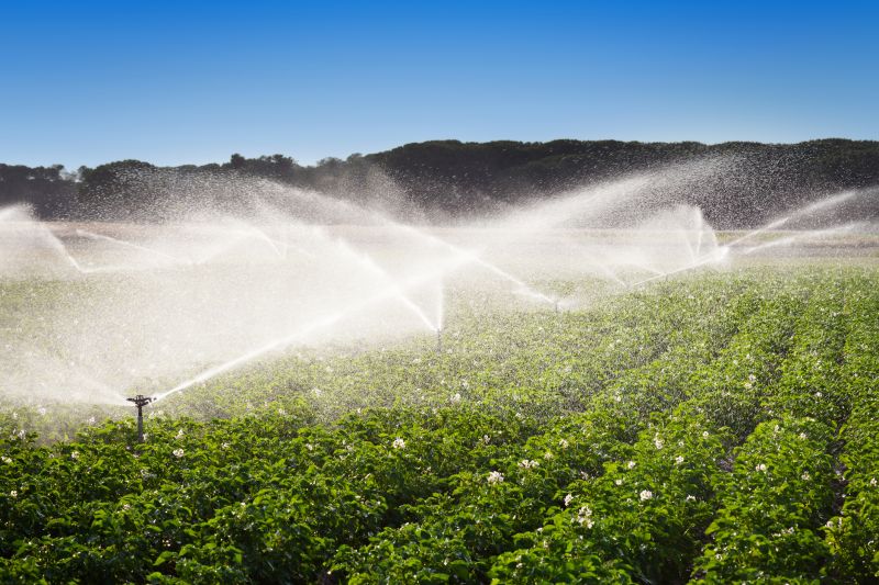 Irrigation Service in Honolulu, HI