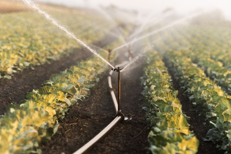 Irrigation Service in Aiken, SC
