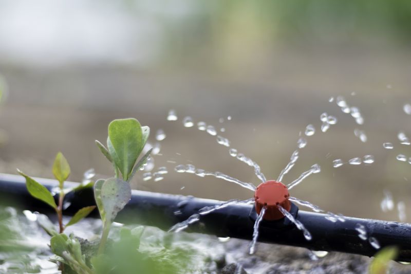 Irrigation System Replacement in Aiken, SC