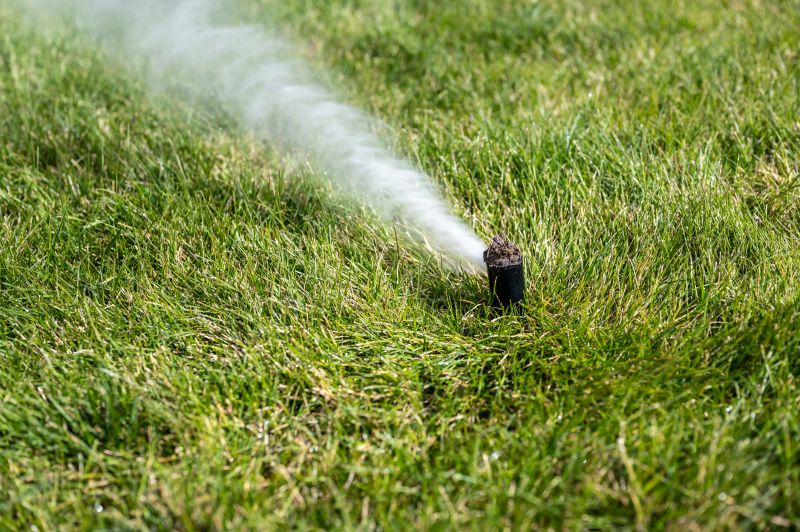 Irrigation Winterization in Reno, NV