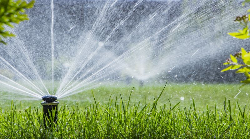 Lawn Irrigation Installation in Honolulu, HI