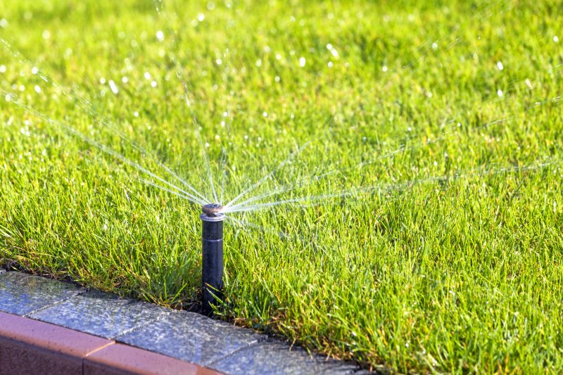 Lawn Sprinkler Replacement in Aiken, SC
