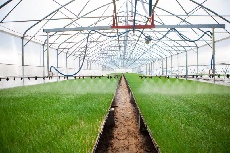 Mist Irrigation Installation in Ventura County, CA