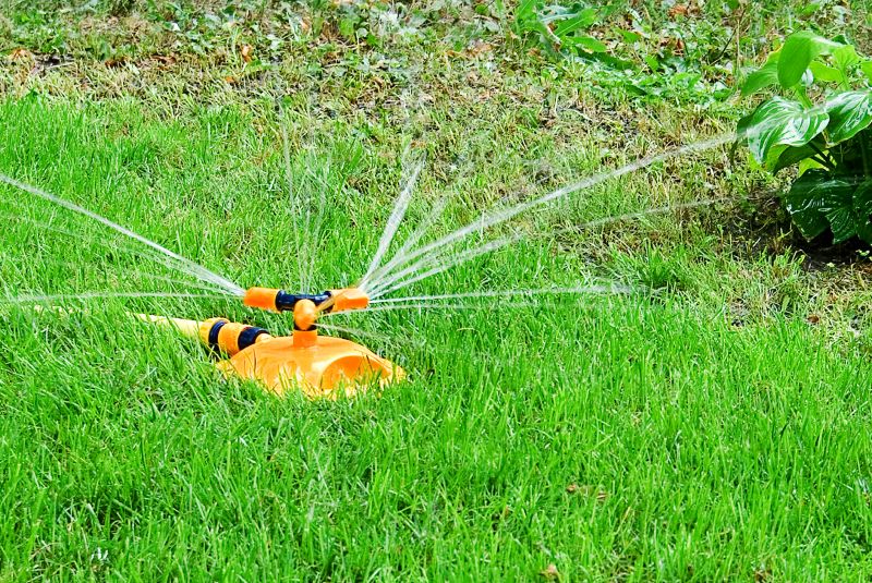 Sprinkler System Relocation in Aiken, SC