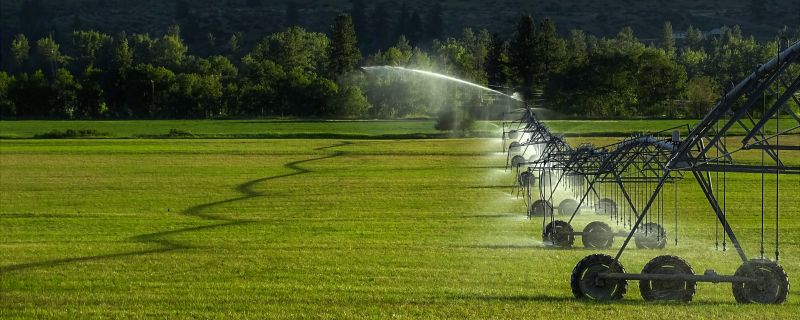 Watering System Installation in Ventura County, CA